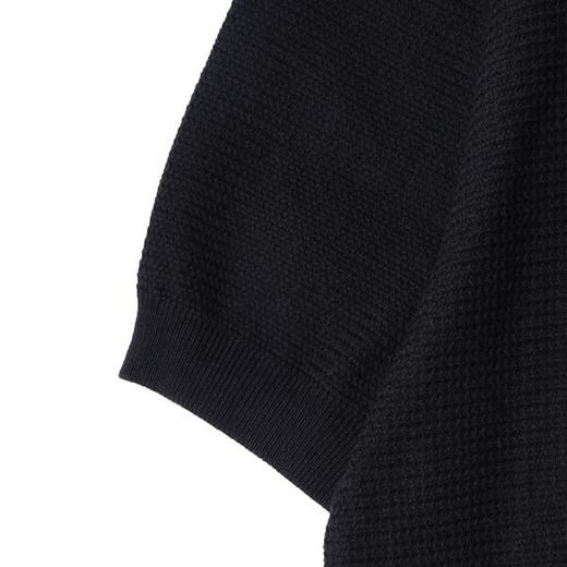 SDSA男装2026高贵轻奢老钱风简约纯色华夫格针织翻领短袖T恤百搭 商品图3