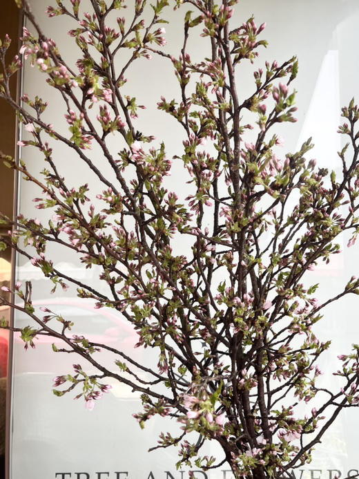 国产花材-【樱花】浅粉色 商品图1