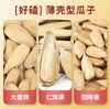 金鸽葵花籽瓜子 商品缩略图10