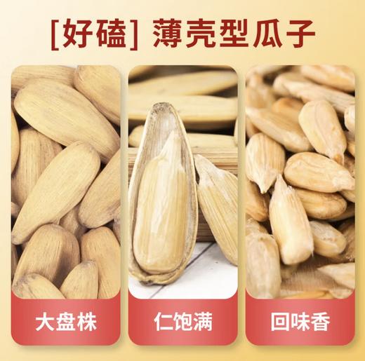 金鸽葵花籽瓜子 商品图10