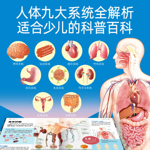 人体与人脑·儿童百科全书·中百趣味科普医学解剖学小学生初中生 商品图1
