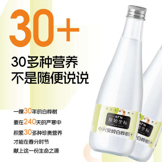 【超值4箱装】原始坐标 北纬47°天然采集 小兴安岭白桦树汁 单树单孔采集三年轮采 320ml*6瓶*4箱 商品图1