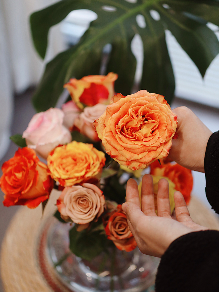 【春日福利鲜花  9.9元10支】把春天和好心情都带回家~