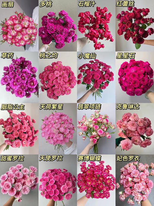 随机B级桃红色多头玫瑰5扎 商品图0