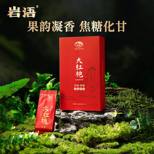 岩语 厚韵中火大红袍 特级武夷岩茶乌龙茶花香茶叶盒装送礼144g 商品图0
