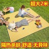 野餐垫 防潮垫 加厚户外野炊便携帐篷地垫 春游防水坐垫草坪折叠垫子 商品缩略图1