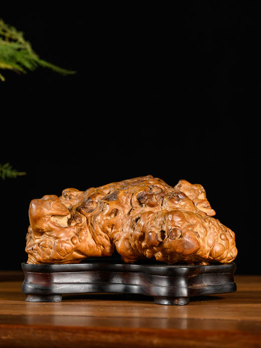 清	黄杨瘿木随形摆件（红木座） 商品图0