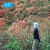 第四届贵州花季徒步节｜五一特别版 寻找贵州山野里的映山红花海 5日 商品缩略图2