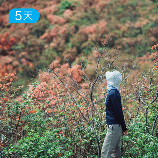 第四届贵州花季徒步节｜五一特别版 寻找贵州山野里的映山红花海 5日 商品图2
