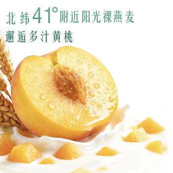 伊利畅轻低温酸奶 0添加 燕麦草莓酸牛奶250g*4 风味发酵乳  /水饮冲调 /低温奶 /低温酸奶 商品图0