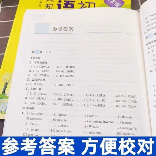 《初中英语语法专练:大字版.知识点梳理+习题精练》 商品图2