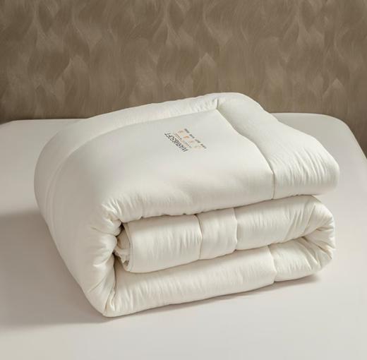 6F堂皇     绵芙大豆纤维春秋被-白色200x230cm胎重1100g 商品图3