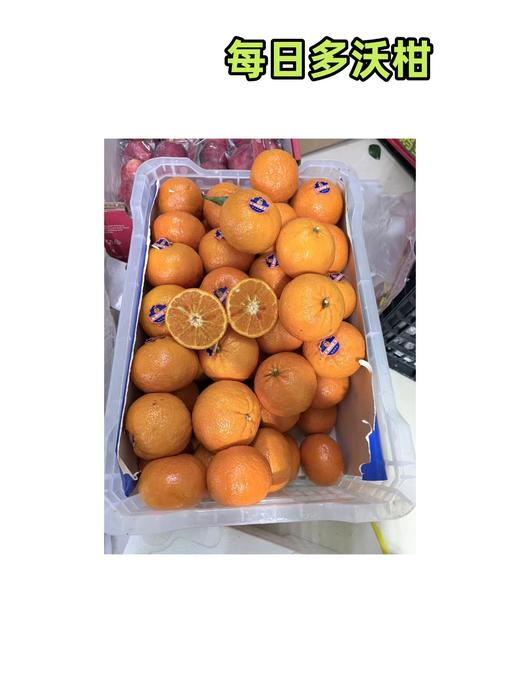 每日多沃柑 商品图0