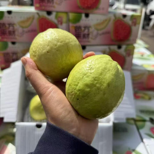 奶油冰激凌芭乐 商品图4