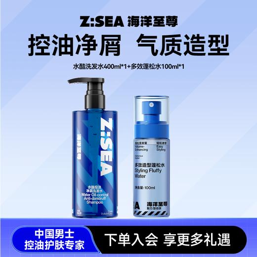 【春日拼团】水酷洗发水400ml*1+多效蓬松水100ml*1 商品图0