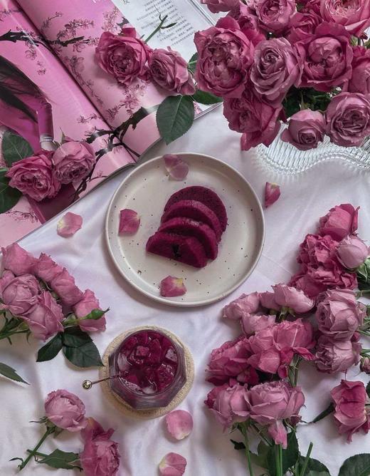 巨显白火龙果双面棉极简短袖T恤 商品图6