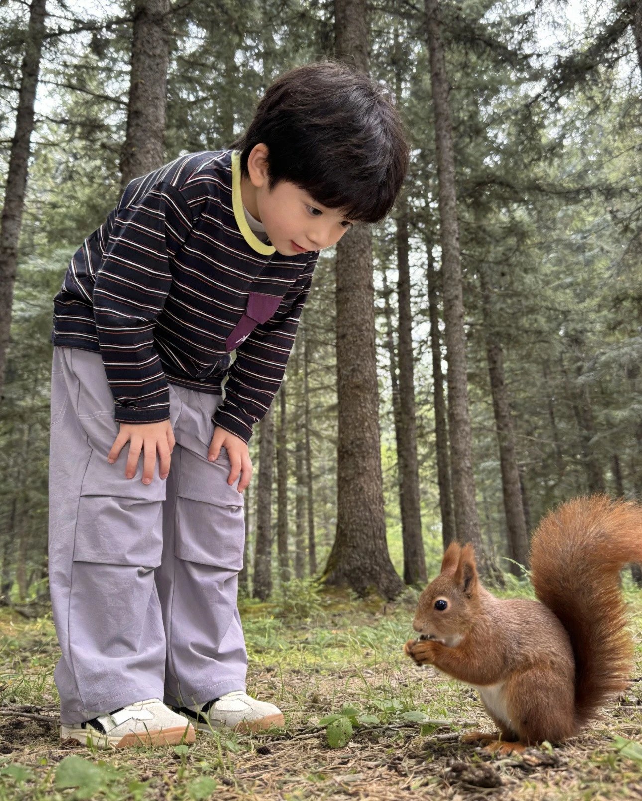 春日山系伞兵裤  26Y04013-