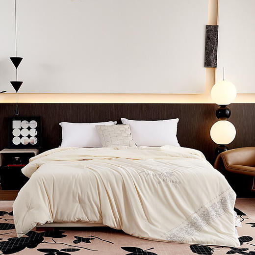 LHX8419蚕丝被 商品图2