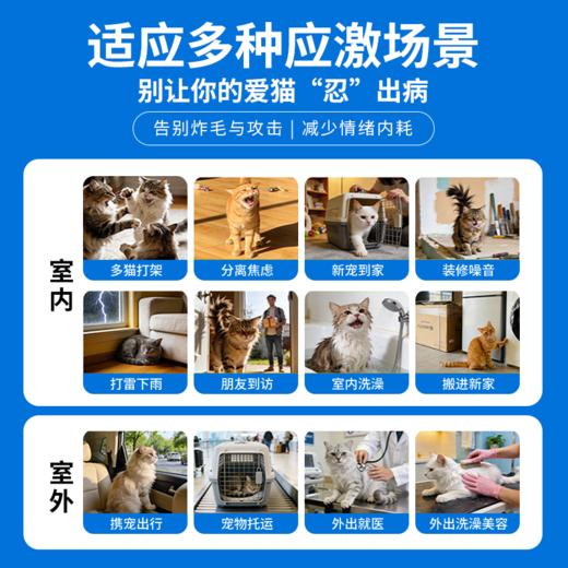 佳巴静加巴喷丁片剂宠物猫咪专用舒缓情绪防应激口炎尿闭止疼痛药 商品图5