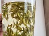 2026春 舜皇山·老龙井  浙江炒茶王制 商品缩略图5