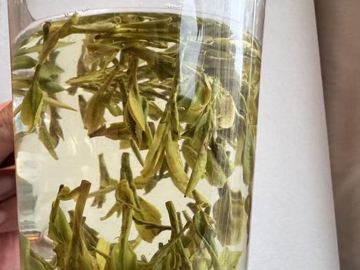 2026春 舜皇山·老龙井  浙江炒茶王制 商品图5