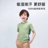 【100-170码】挪威进口 JANUS100%美利奴羊毛 超轻羊毛儿童舒适款T恤  克重159g/㎡【2026新色(纯色)】 商品缩略图1