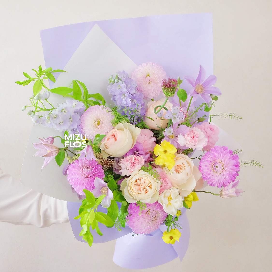 / 春 光 花 语 /（今日现花）