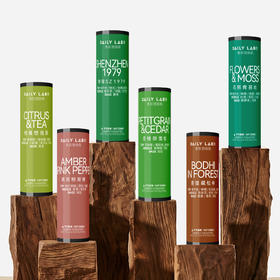 DAILY LAB 新 蔚来理想小鹏新能源香氛替换芯车载香薰持久留香祛异味