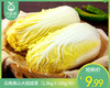 云南高山大娃娃菜（1.5kg±100g/份） 商品缩略图0
