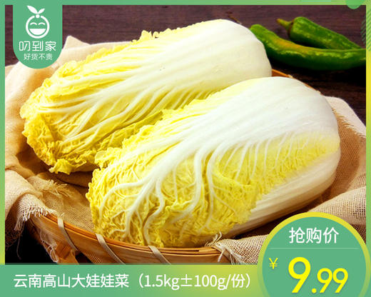 云南高山大娃娃菜（1.5kg±100g/份） 商品图0