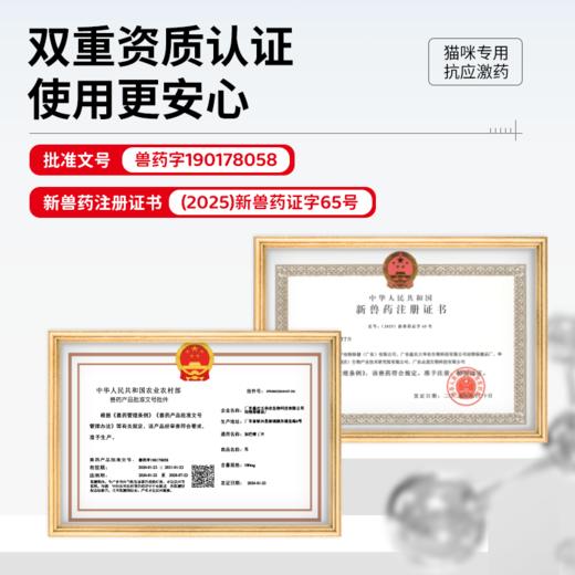 佳巴静加巴喷丁片剂宠物猫咪专用舒缓情绪防应激口炎尿闭止疼痛药 商品图4