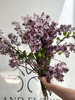 国产花材-【丁香花】紫色 商品缩略图2