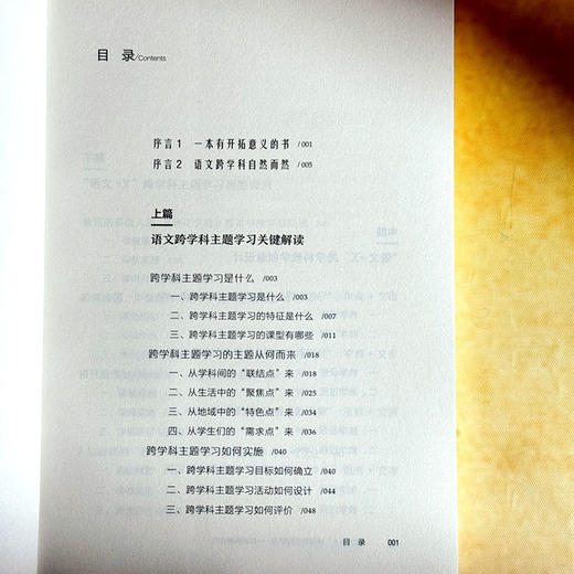 “语文+X”跨学科主题学习 用课例告诉你 大夏书系 语文之道 商品图6