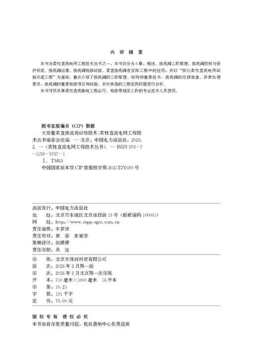 柔性直流电网工程技术丛书 大容量柔直换流阀运检技术 商品图3