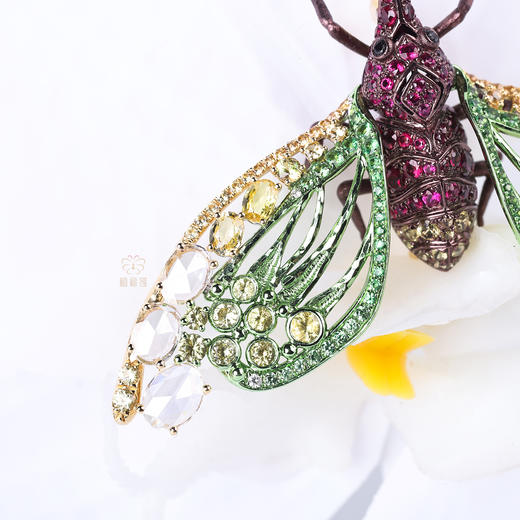 【夏日精灵】红宝石龙眼鸡胸针 商品图7