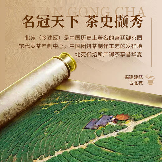 正山堂骏眉中国 北苑贡茶 正宗红茶正品茶叶自饮口粮茶罐装送礼 商品图4