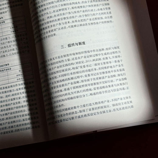 借势而为 基层政府与地方产业 冯猛 四东县 田野调查 商品图12