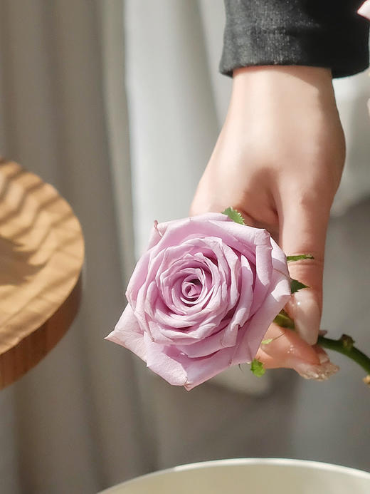 【春日福利鲜花  9.9元10支 4束包邮】72h内发货 把春天和好心情都带回家~ 商品图4