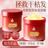 【柔顺亮泽！改善毛躁】水解胶原发膜玻尿酸鱼子酱蛋白营养头发护理理发店发廊专用焗油膏。xb 商品缩略图2