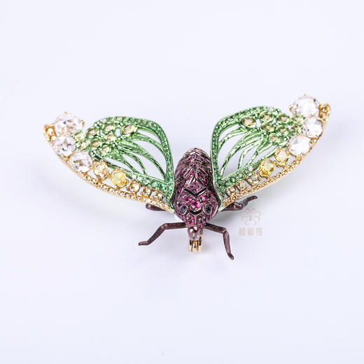 【夏日精灵】红宝石龙眼鸡胸针 商品图2