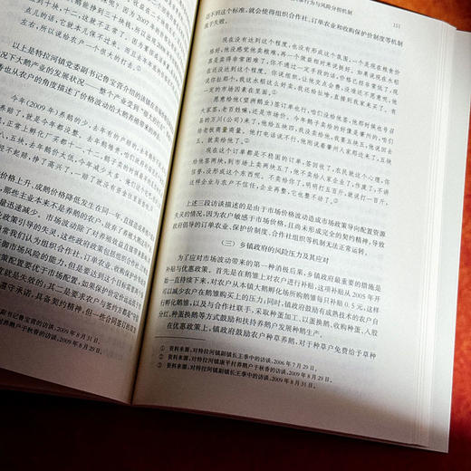 借势而为 基层政府与地方产业 冯猛 四东县 田野调查 商品图11