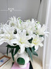 【2026.4.3】特价：4枝2头白凤凰重瓣百合19.9（现货 下单即可到店自提） 商品缩略图2