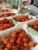 【限时20天】【🍒中华小樱桃】攀枝花新鲜现摘当季水果 商品缩略图5