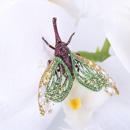 【夏日精灵】红宝石龙眼鸡胸针 商品图0