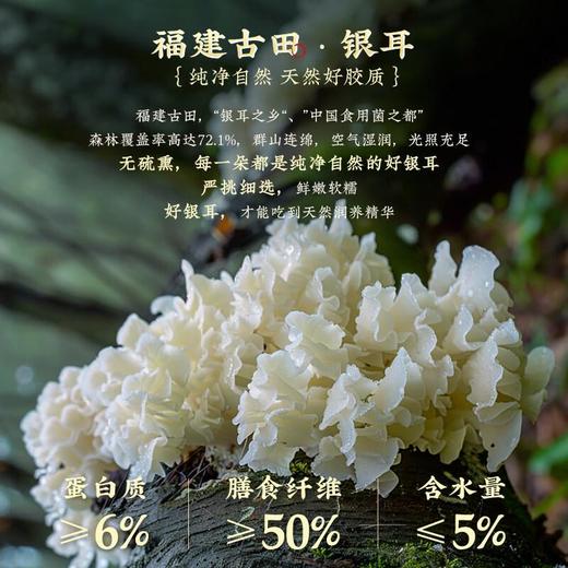 九阳燕窝银耳食养豆浆粉120g 商品图3