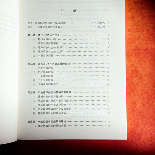 借势而为 基层政府与地方产业 冯猛 四东县 田野调查 商品图6