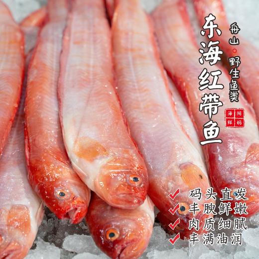 【闹妈海鲜】舟山热气海鲜红带鱼肉肥刺少 油润 一斤1-2条左右 商品图0