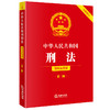 中华人民共和国刑法（简明实用版 第二版 全新修订）  法律出版社法规中心编   法律出版社 商品缩略图0