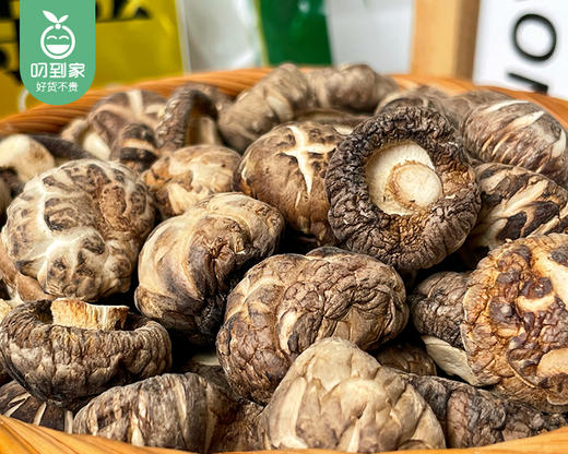 湖北随州天白小花菇-干货（一口菇）/1包（约200g）生产日期：26年4月 商品图2