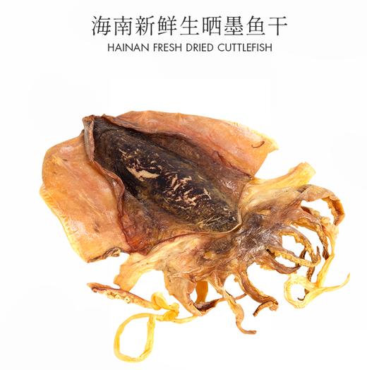 九鱼鲜踪 墨鱼干(10-14头/斤） 500g 商品图0